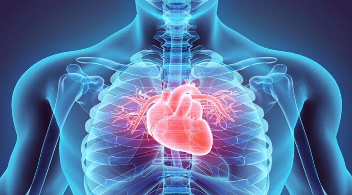 الکتروفیزیولوژی قلب