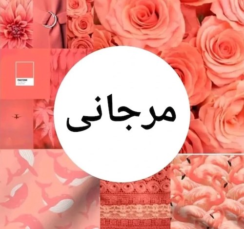 انواع رنگ نارنجی
