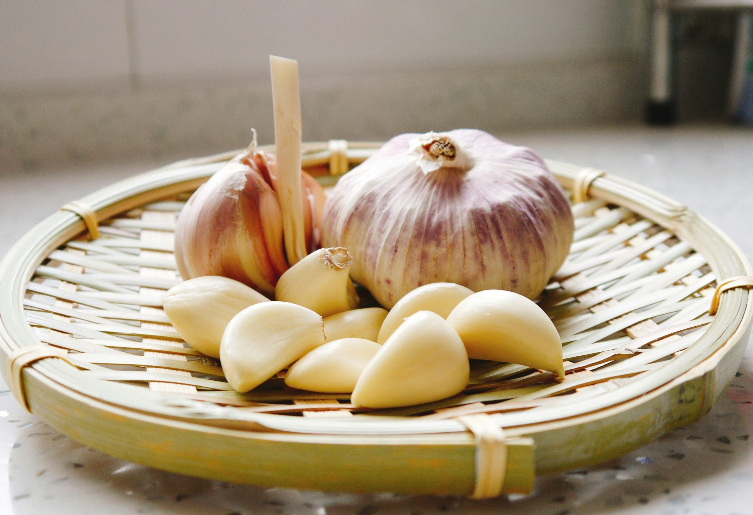 عکس آموزش نگهداری سیر