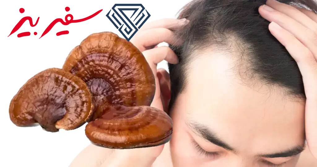 قهوه گانودرما