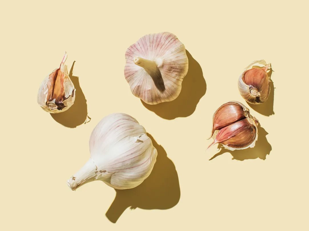 تصویری از نگهداری سیر